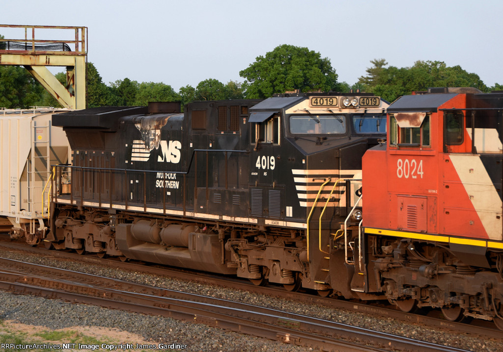 NS 4019
